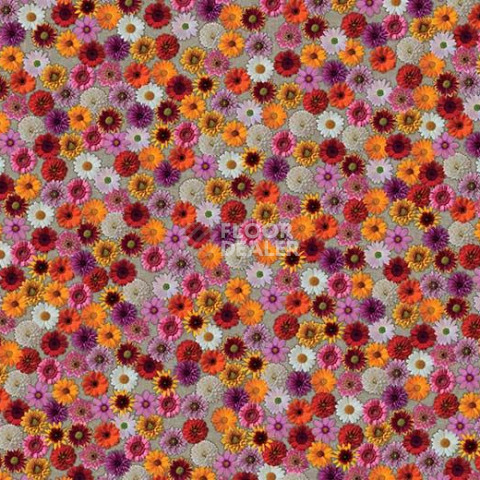 Ковролин ForboFlotex Vision Image 000538 Multifloral фото 1 | FLOORDEALER